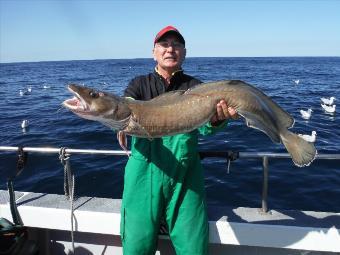 13 lb 5 oz Ling by Chris Moyses - oxford