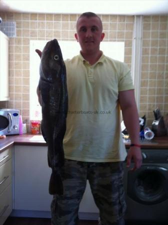 10 lb Cod by Stephen O'Brien