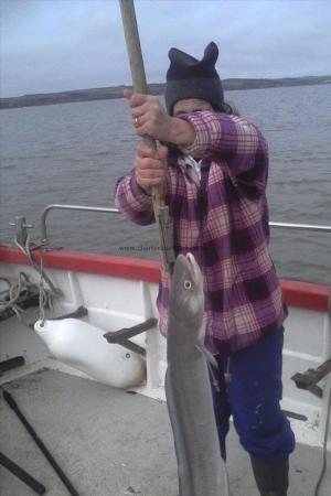 12 lb Conger Eel by penny duke