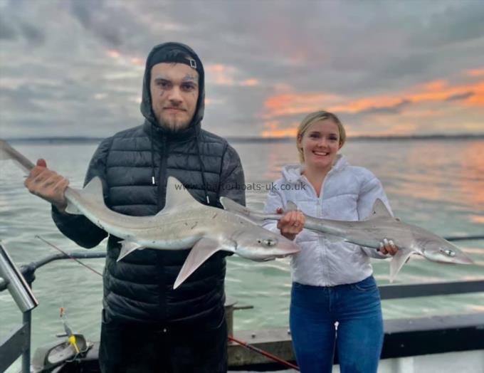 8 lb Smooth-hound by Unknown