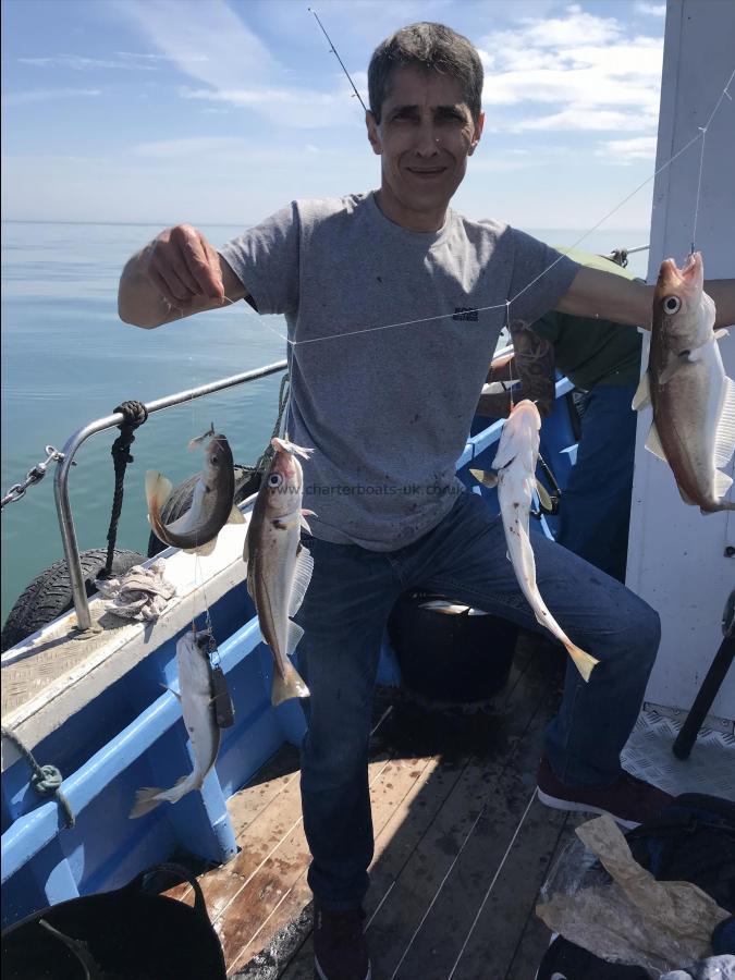 1 lb Whiting by Neil from Bradford 5 fish in one drop