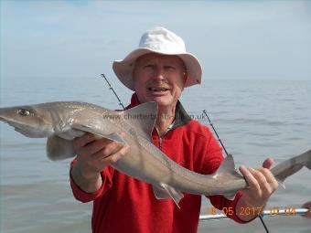 6 lb Starry Smooth-hound by Jeff Ball