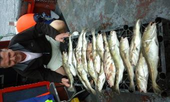 3 lb Cod by ian from paisley