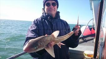 3 lb 2 oz Starry Smooth-hound by tim from Broadstairs