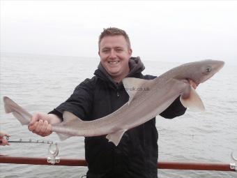 13 lb 4 oz Starry Smooth-hound by Dan Bryant