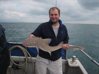 11 lb 4 oz Smooth-hound (Common) by Jonny