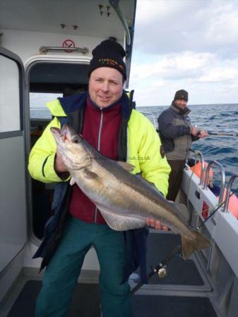 12 lb 8 oz Pollock by Ken Allard