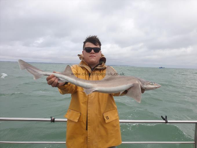 7 lb Smooth-hound (Common) by Bob Marshall