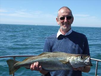 7 lb 6 oz Pollock by Unknown