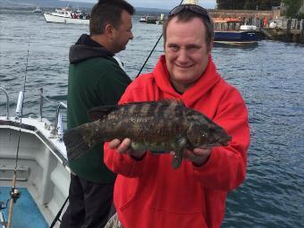 4 lb Ballan Wrasse by Mark Turner