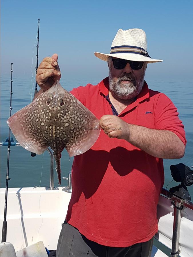 3 lb Thornback Ray by Chris Carter