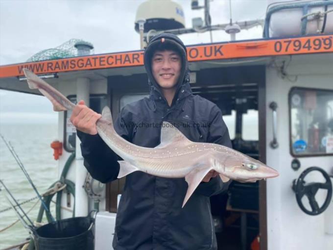 9 lb Smooth-hound by Unknown