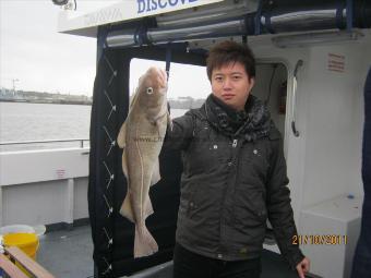 5 lb 12 oz Cod by Unknown