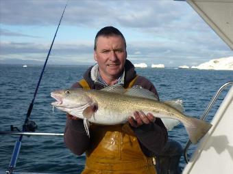 6 lb Cod by Richard Widdowson