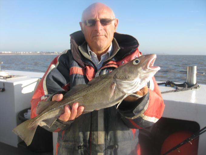 3 lb 1 oz Cod by Unknown