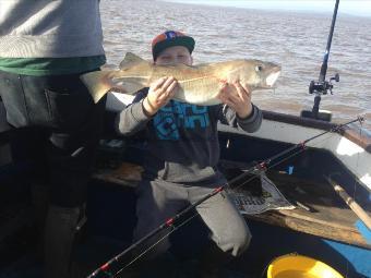 8 lb Cod by Lennon