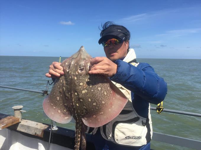 7 lb Thornback Ray by Unknown