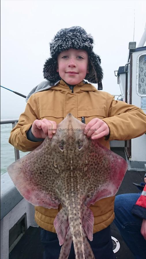 8 lb Thornback Ray by George from medway