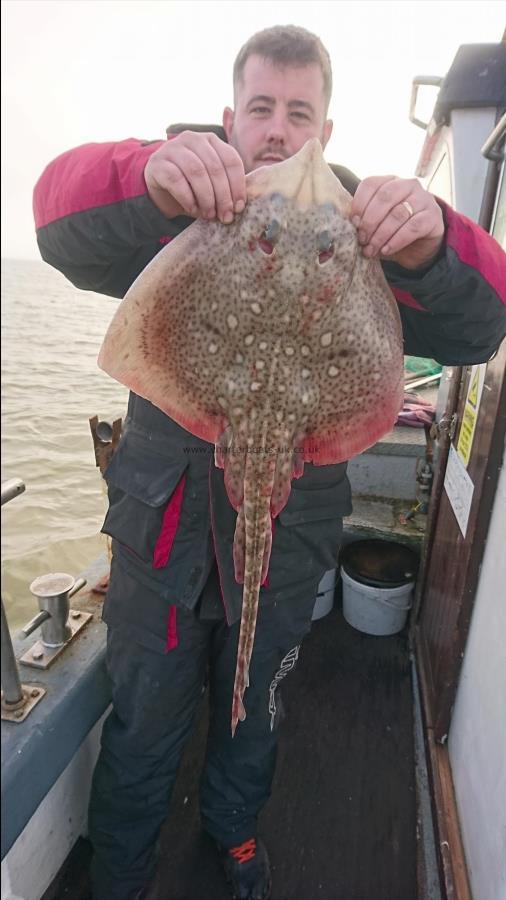 5 lb 2 oz Thornback Ray by Josh from sheppy