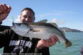 2 lb Pollock by Tojo