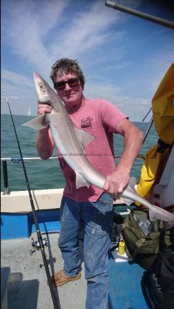 9 lb 6 oz Starry Smooth-hound by Unknown