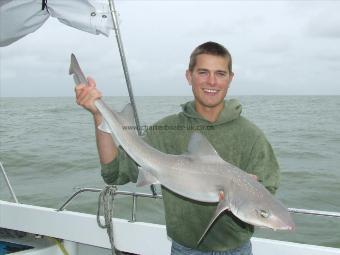 13 lb 4 oz Smooth-hound by scott belbin