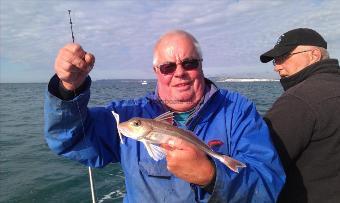 14 oz Grey Gurnard by Steve Hill