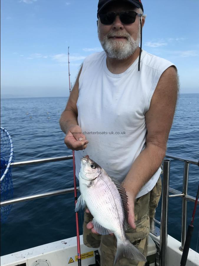 1 lb Black Sea Bream by Phill