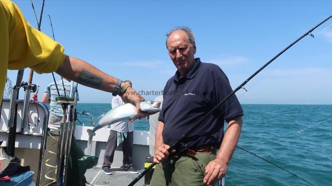 2 lb Mackerel by Unknown