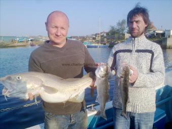 12 lb Cod by mark