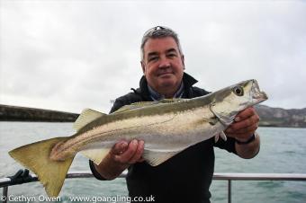 6 lb Pollock by Dave