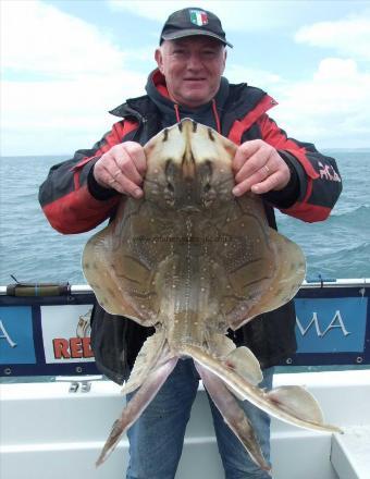 11 lb 10 oz Undulate Ray by Luie Riva