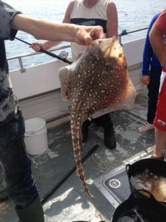 3 lb Thornback Ray by Leanne Wilkinson