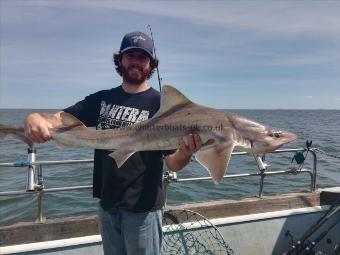 20 lb Starry Smooth-hound by Ryan monteith charter