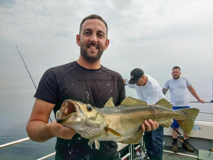 10 lb 12 oz Pollock by Unknown