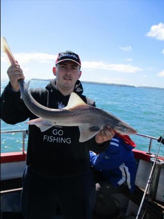 4 lb Starry Smooth-hound by luke