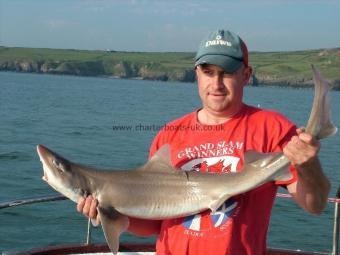 20 lb Starry Smooth-hound by Paul Owen