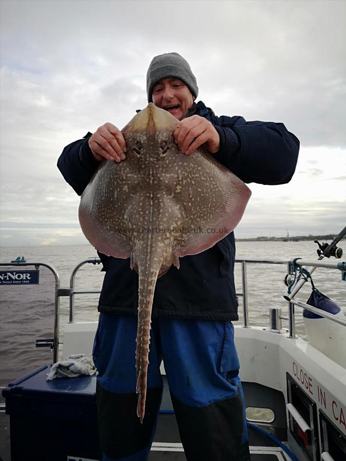 11 lb Thornback Ray by Unknown