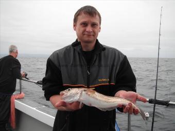 2 lb Whiting by Steve