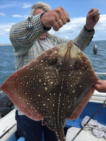 10 lb Thornback Ray by alan from hull with a nice thornback 11/07/2015