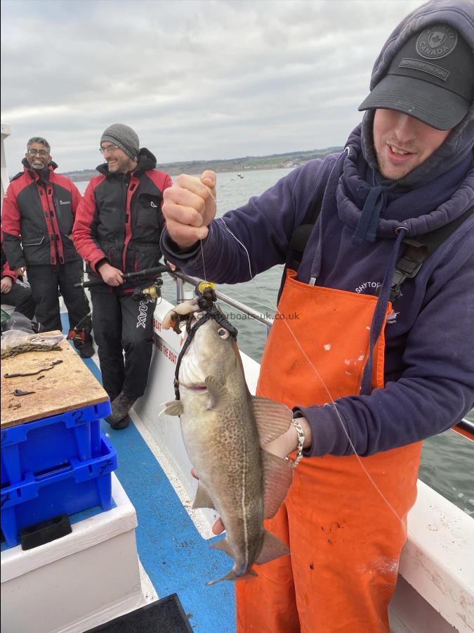 3 lb Cod by Fergus Powell.