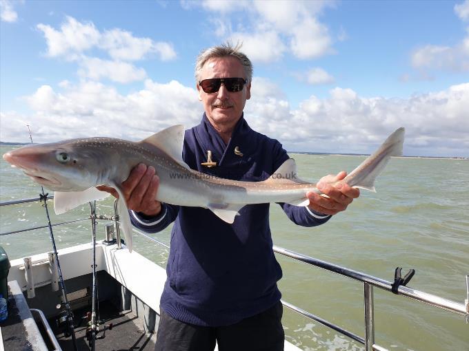 7 lb Starry Smooth-hound by Bob Marshall