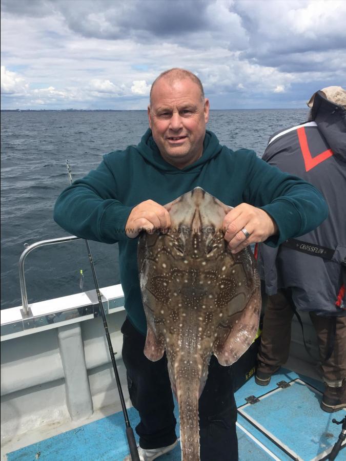 8 lb Undulate Ray by Unknown
