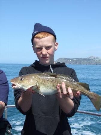 4 lb Cod by Unknown