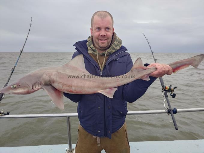 6 lb Starry Smooth-hound by Paul
