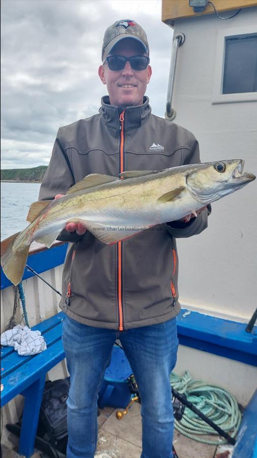 6 lb 2 oz Pollock by Unknown