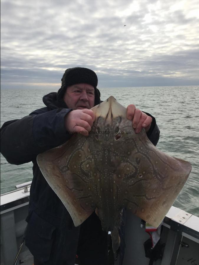 15 lb 2 oz Undulate Ray by Keith