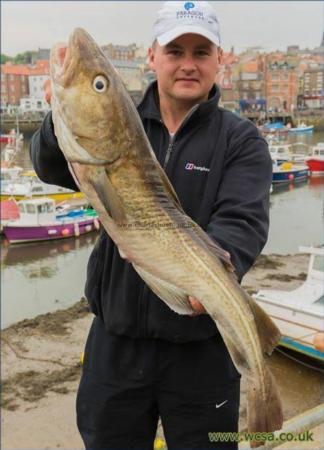 14 lb Cod by Perry Franklin