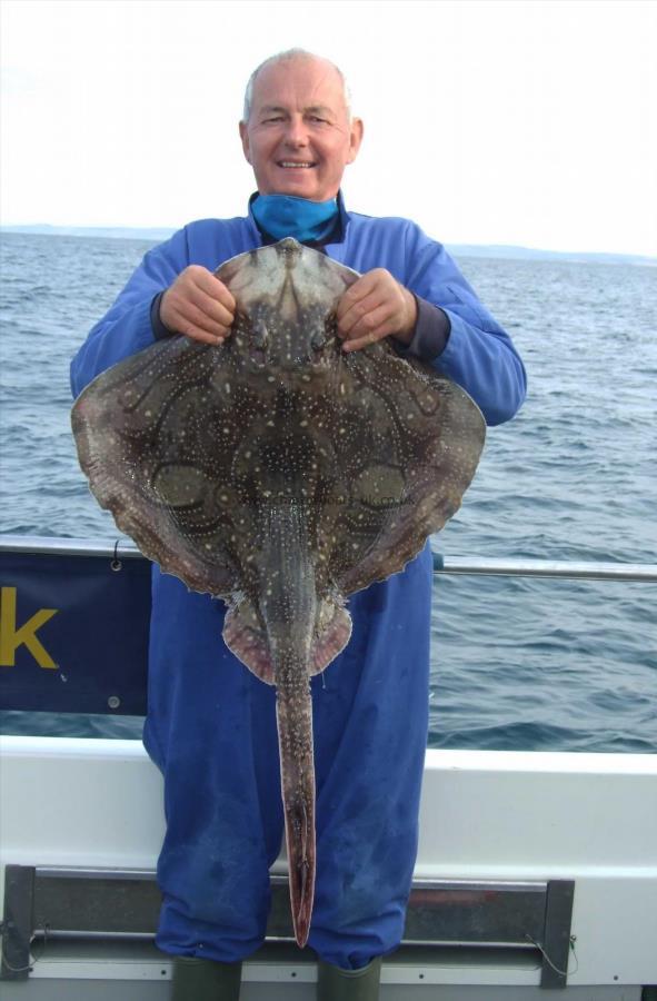 16 lb Undulate Ray by David Metcalf