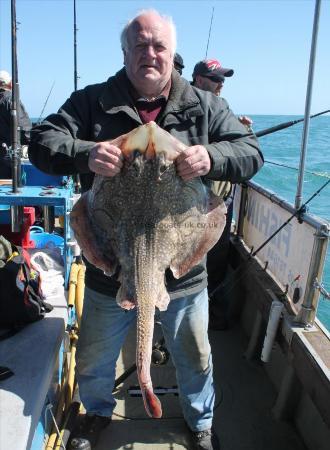 20 lb 13 oz Undulate Ray by Ron Plummer